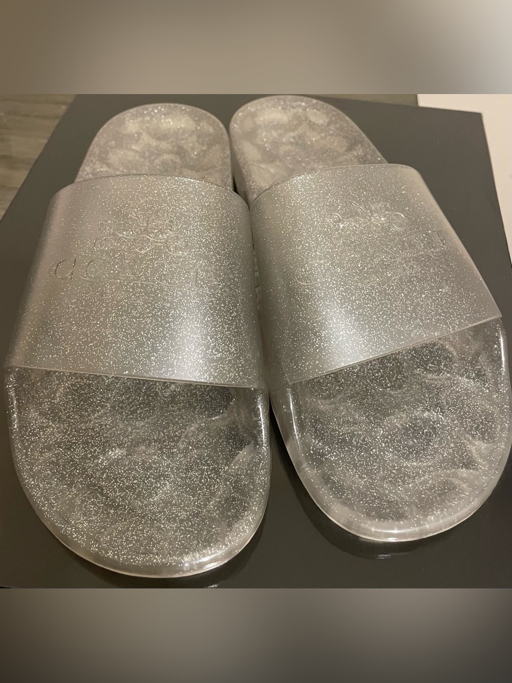 Coach Clear Glitter Slide Sandals - Silver